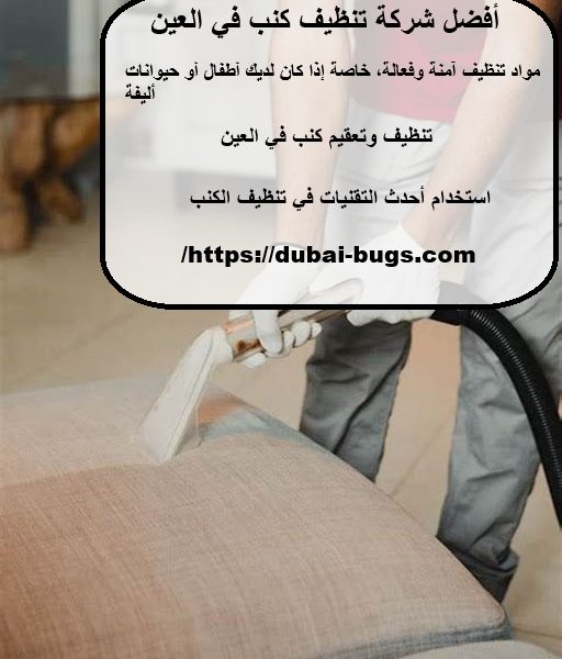 أفضل شركة تنظيف كنب في العين