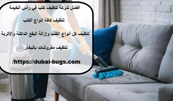 أفضل شركة تنظيف كنب في رأس الخيمة