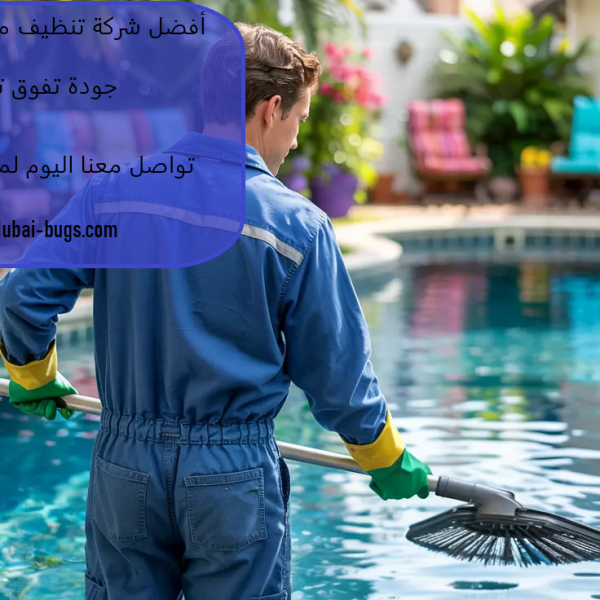 أفضل شركة تنظيف مسابح في أبوظبي