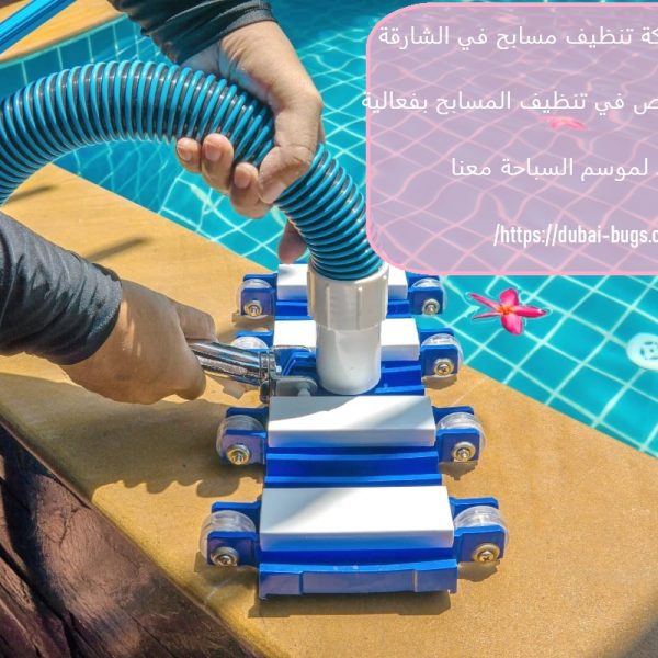 أفضل شركة تنظيف مسابح في الشارقة