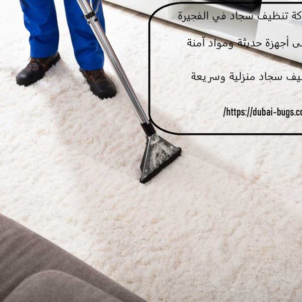 افضل شركة تنظيف سجاد في الفجيرة