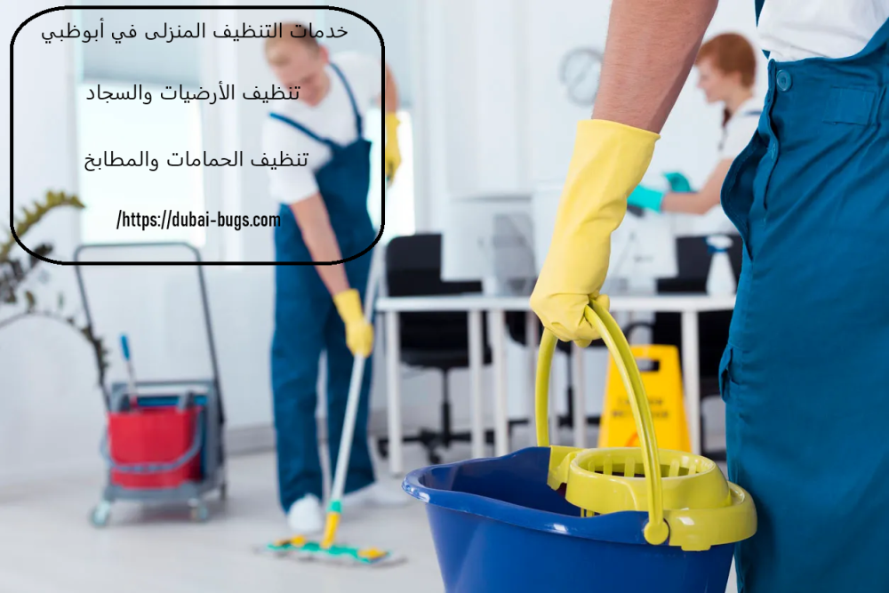 خدمات التنظيف المنزلى في أبوظبي