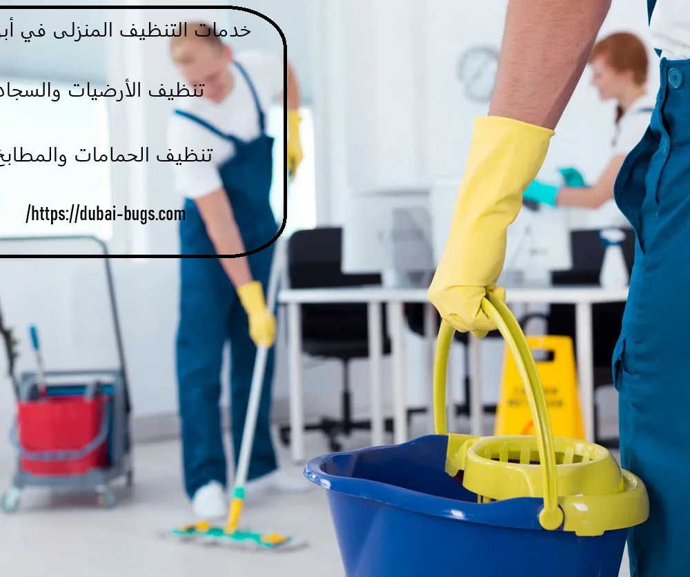 خدمات التنظيف المنزلى في أبوظبي