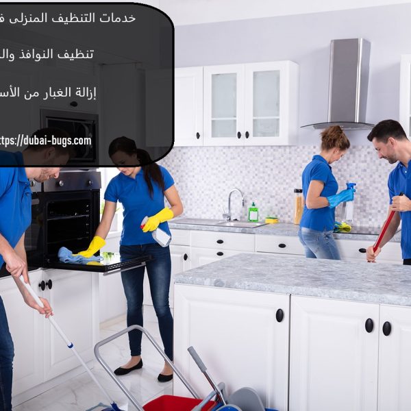 خدمات التنظيف المنزلى في أم القيوين