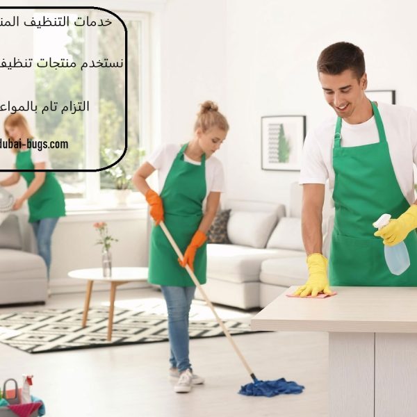 خدمات التنظيف المنزلى في العين