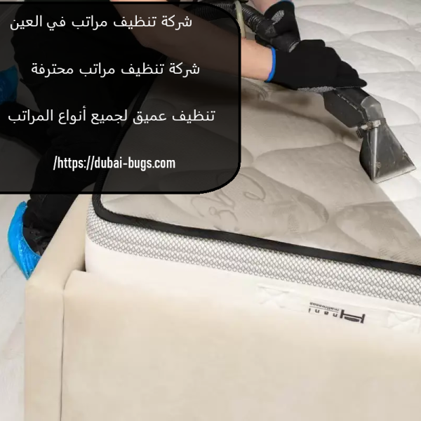 شركة تنظيف مراتب في العين