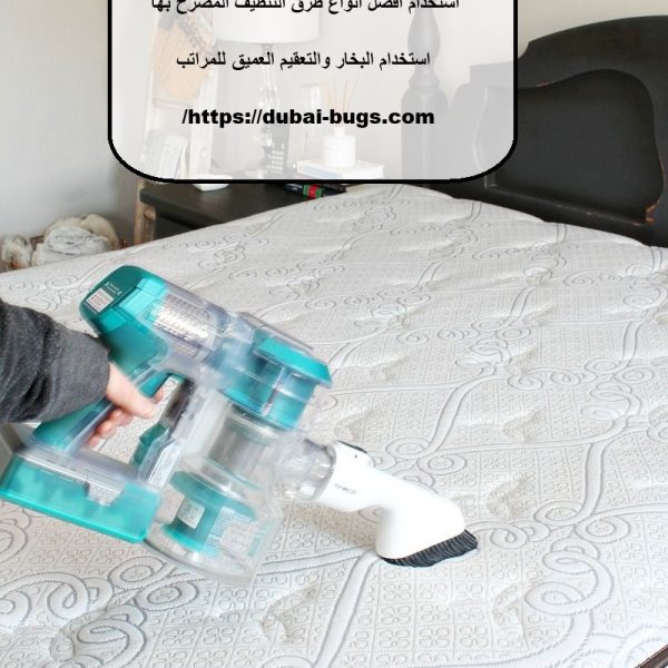 شركة تنظيف مراتب في الفجيرة