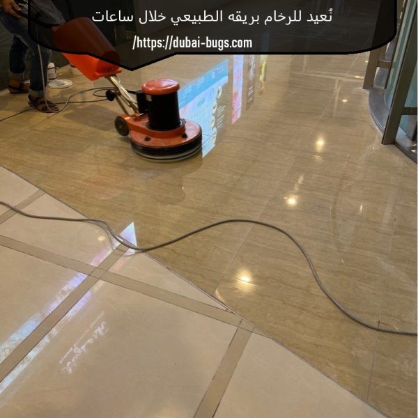 شركة جلي رخام بالماس والكريستال في الفجيرة