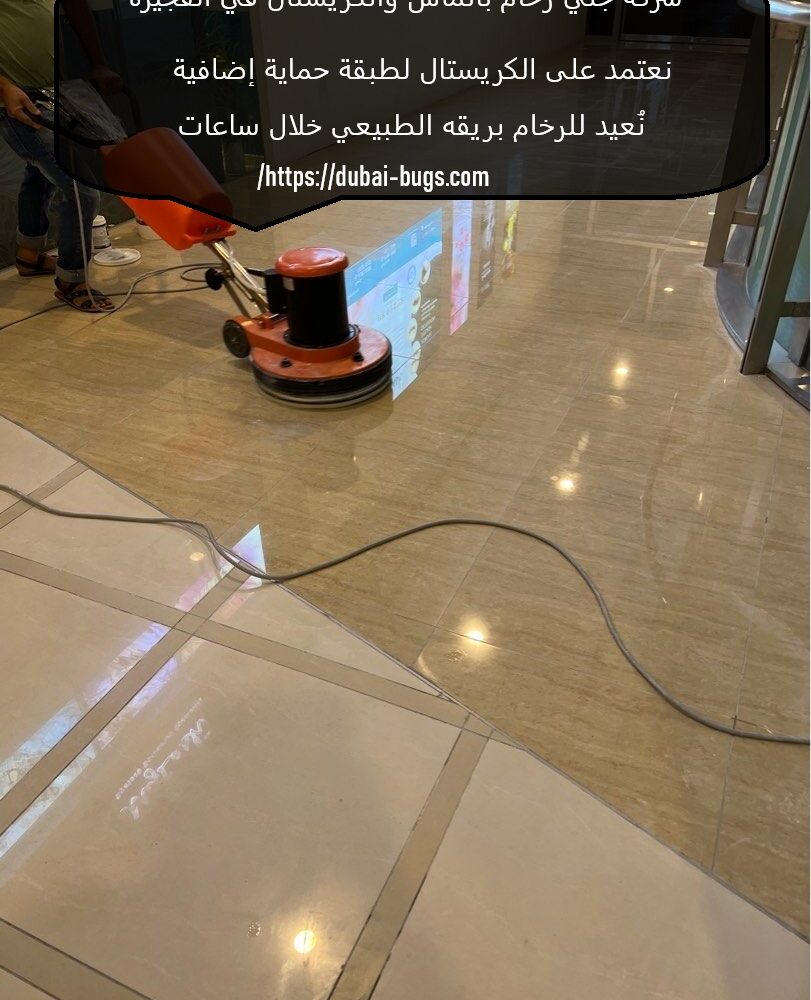 شركة جلي رخام بالماس والكريستال في الفجيرة