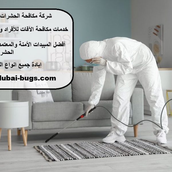 شركة مكافحة الحشرات أبوظبي