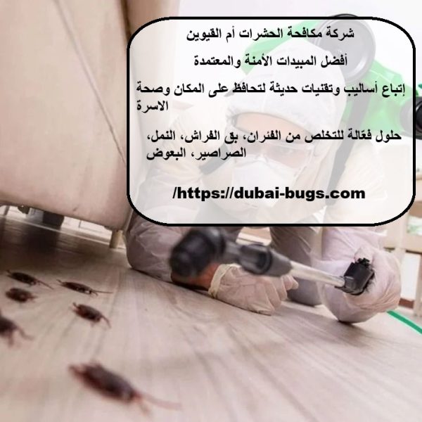 شركة مكافحة الحشرات أم القيوين