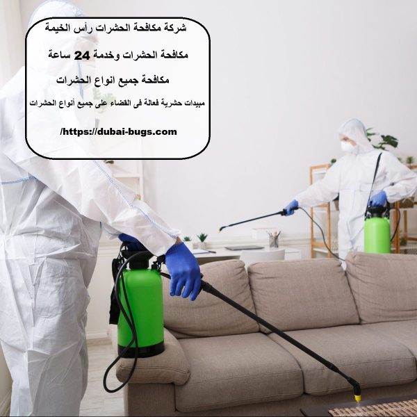 شركة مكافحة الحشرات رأس الخيمة
