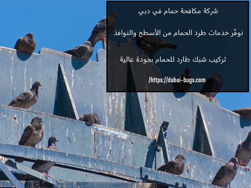 شركة مكافحة حمام في دبي