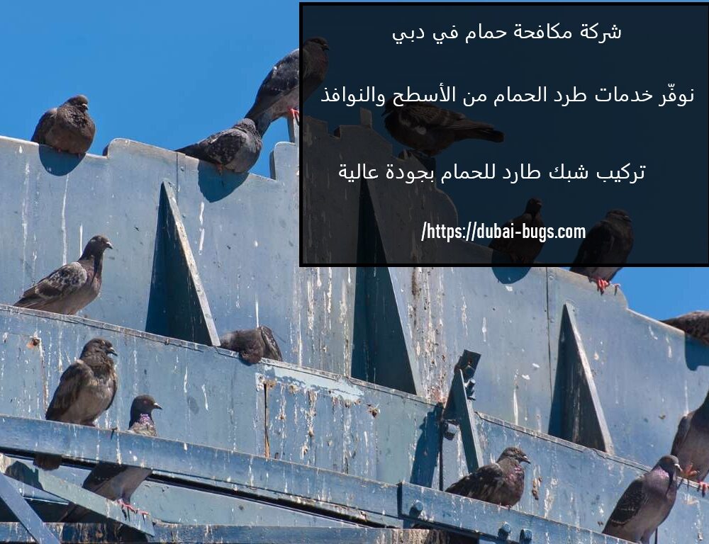 شركة مكافحة حمام في دبي