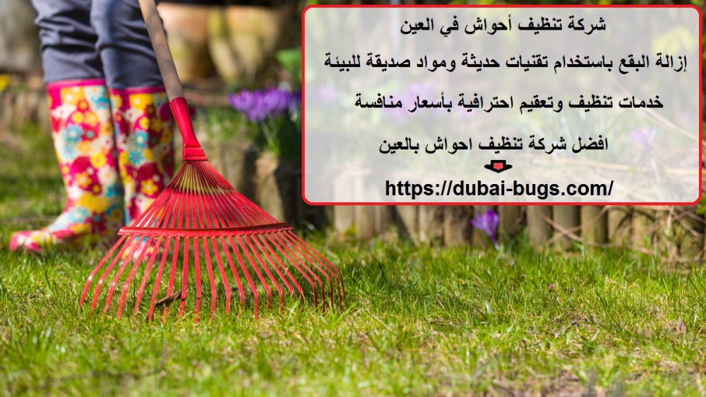 شركة تنظيف أحواش في العين