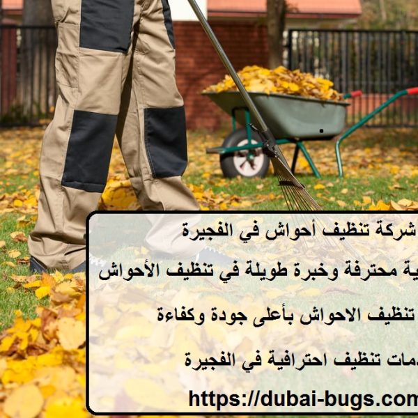 شركة تنظيف أحواش في الفجيرة
