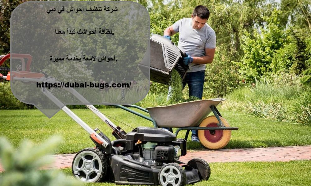 شركة تنظيف أحواش في دبي