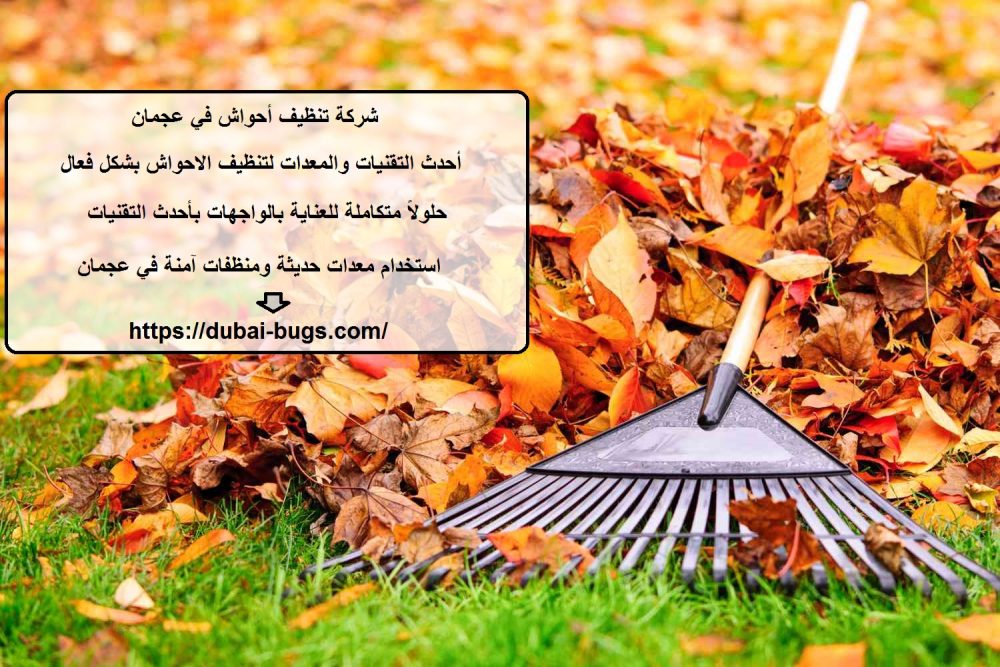 شركة تنظيف أحواش في عجمان