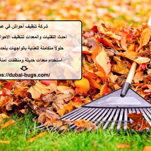 شركة تنظيف أحواش في عجمان