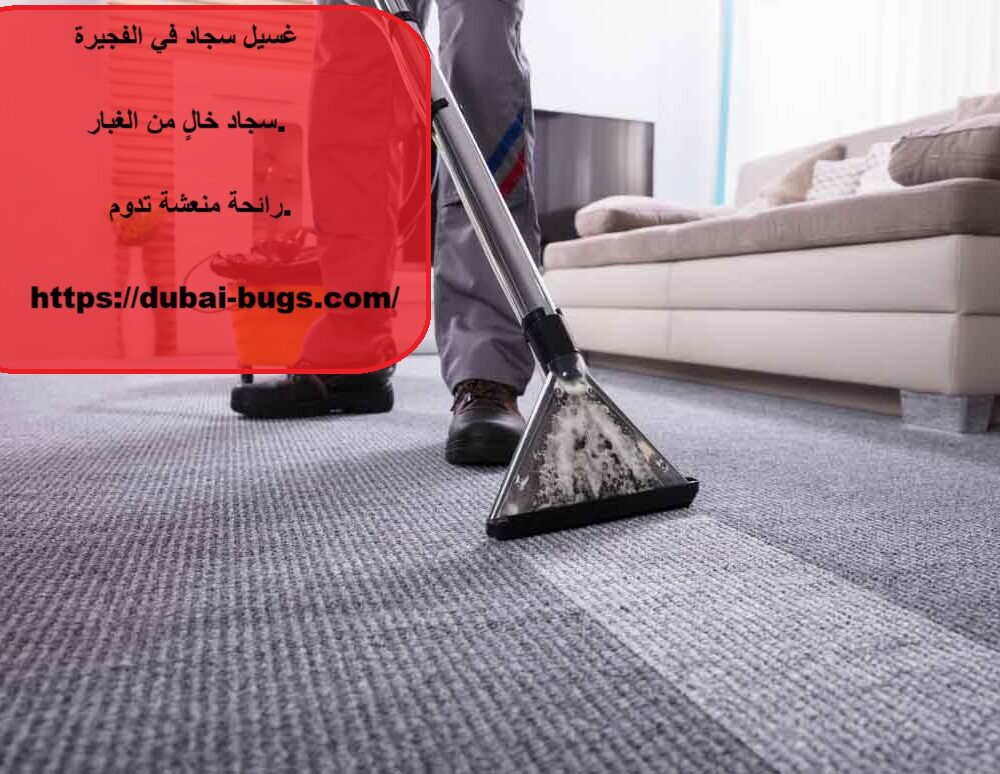 غسيل سجاد في الفجيرة