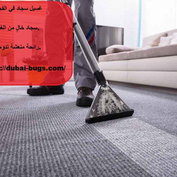 غسيل سجاد في الفجيرة