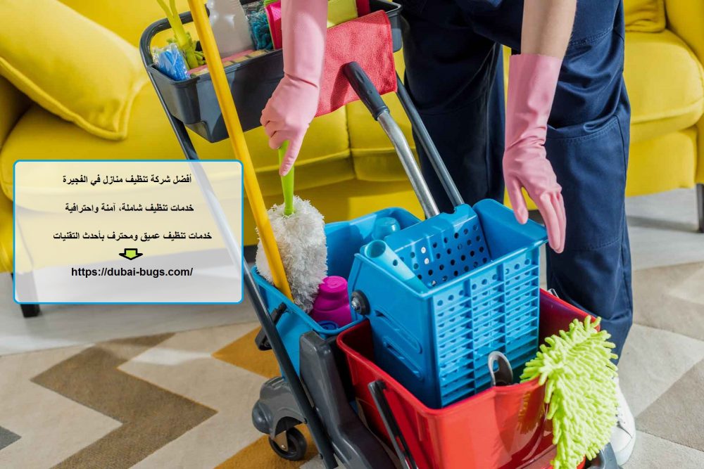 أفضل شركة تنظيف منازل في الفجيرة