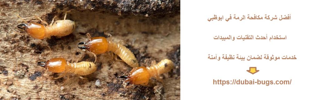 أفضل شركة مكافحة الرمة في ابوظبي