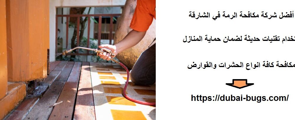 أفضل شركة مكافحة الرمة في الشارقة