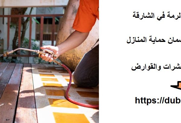 أفضل شركة مكافحة الرمة في الشارقة