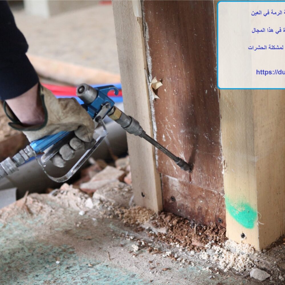 أفضل شركة مكافحة الرمة في العين