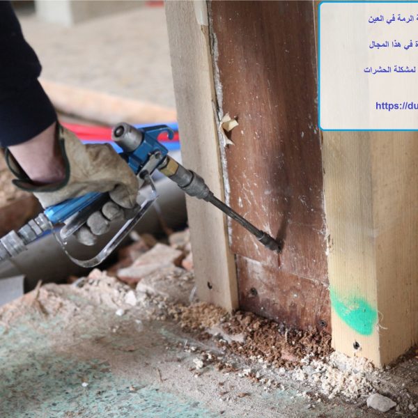 أفضل شركة مكافحة الرمة في العين