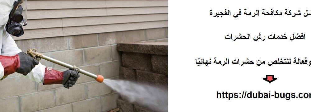 أفضل شركة مكافحة الرمة في الفجيرة