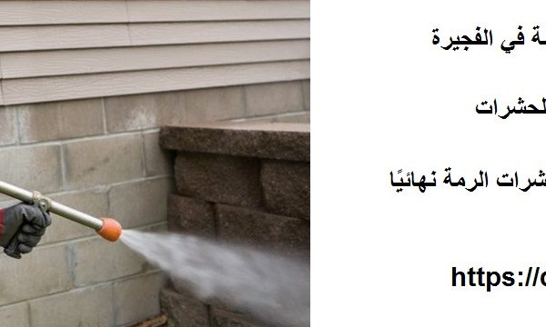 أفضل شركة مكافحة الرمة في الفجيرة