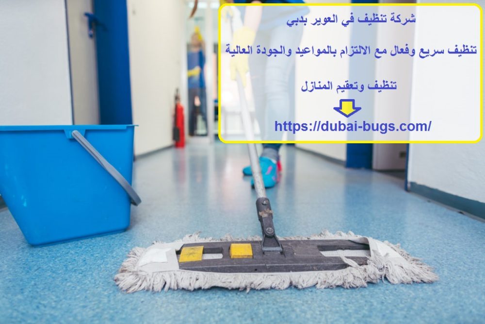 شركة تنظيف في العوير بدبي