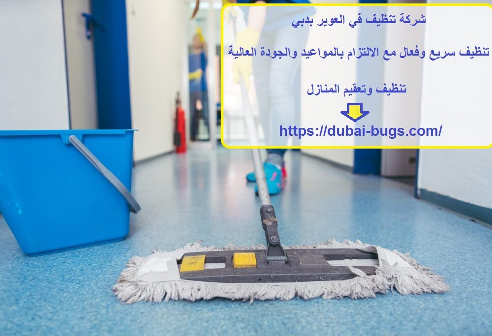شركة تنظيف في العوير بدبي