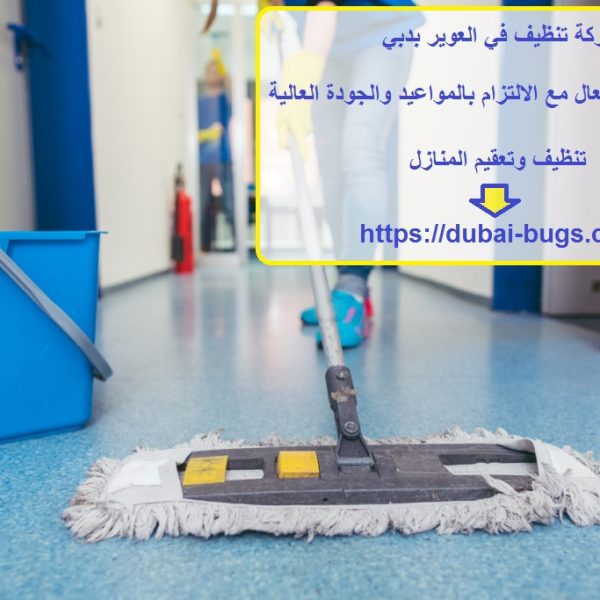 شركة تنظيف في العوير بدبي