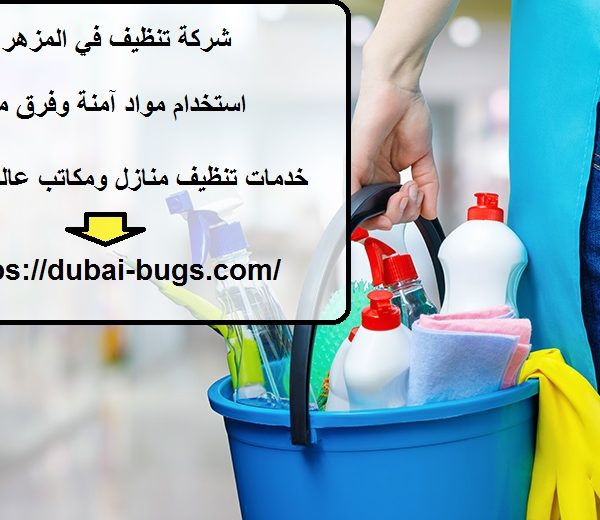 شركة تنظيف في المزهر دبي