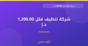 شركة تنظيف فلل