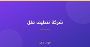 شركة تنظيف فلل