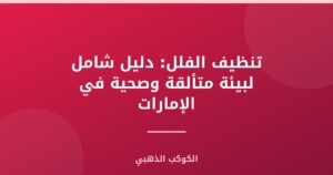 تنظيف الفلل: دليل شامل لبيئة متألقة وصحية في الإمارات