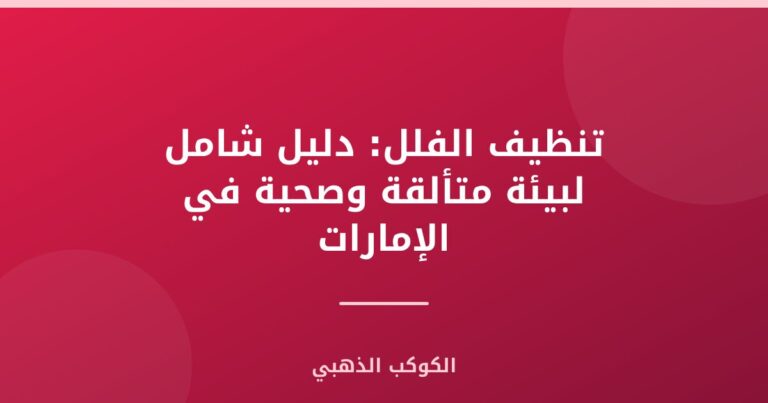 تنظيف الفلل: دليل شامل لبيئة متألقة وصحية في الإمارات