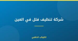 شركة تنظيف فلل في العين