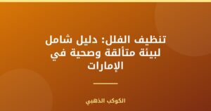 تنظيف الفلل: دليل شامل لبيئة متألقة وصحية في الإمارات