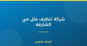 شركة تنظيف فلل في الشارقة