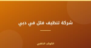 شركة تنظيف فلل في دبي