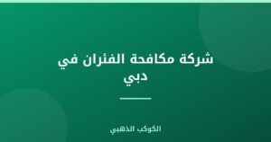 شركة مكافحة الفئران في دبي