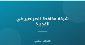 شركة مكافحة الصراصير في الفجيرة
