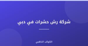 شركة رش حشرات في دبي