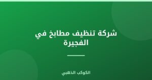شركة تنظيف مطابخ في الفجيرة