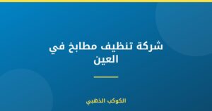 شركة تنظيف مطابخ في العين